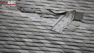 hurricane roof services