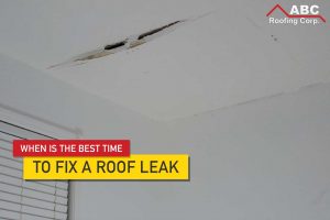 Roof Leak