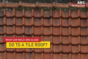 Tile Roof