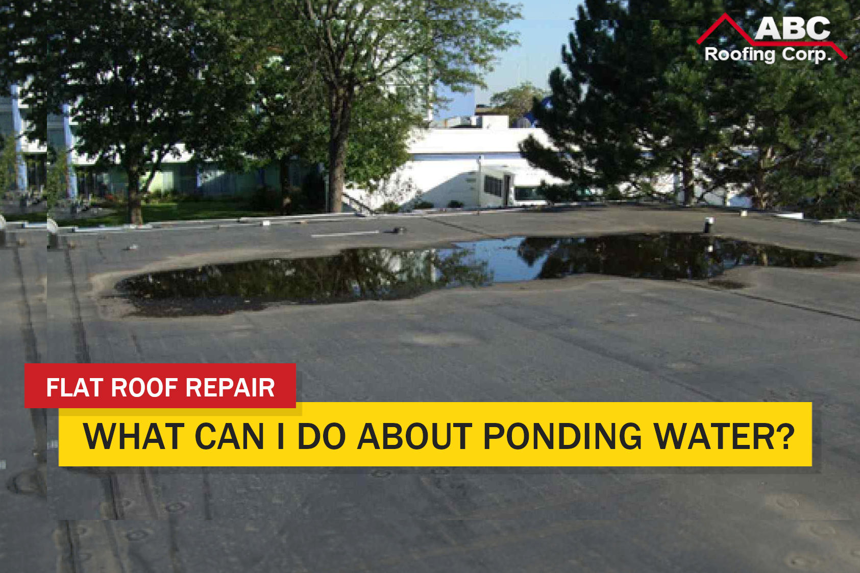 flat roof repair