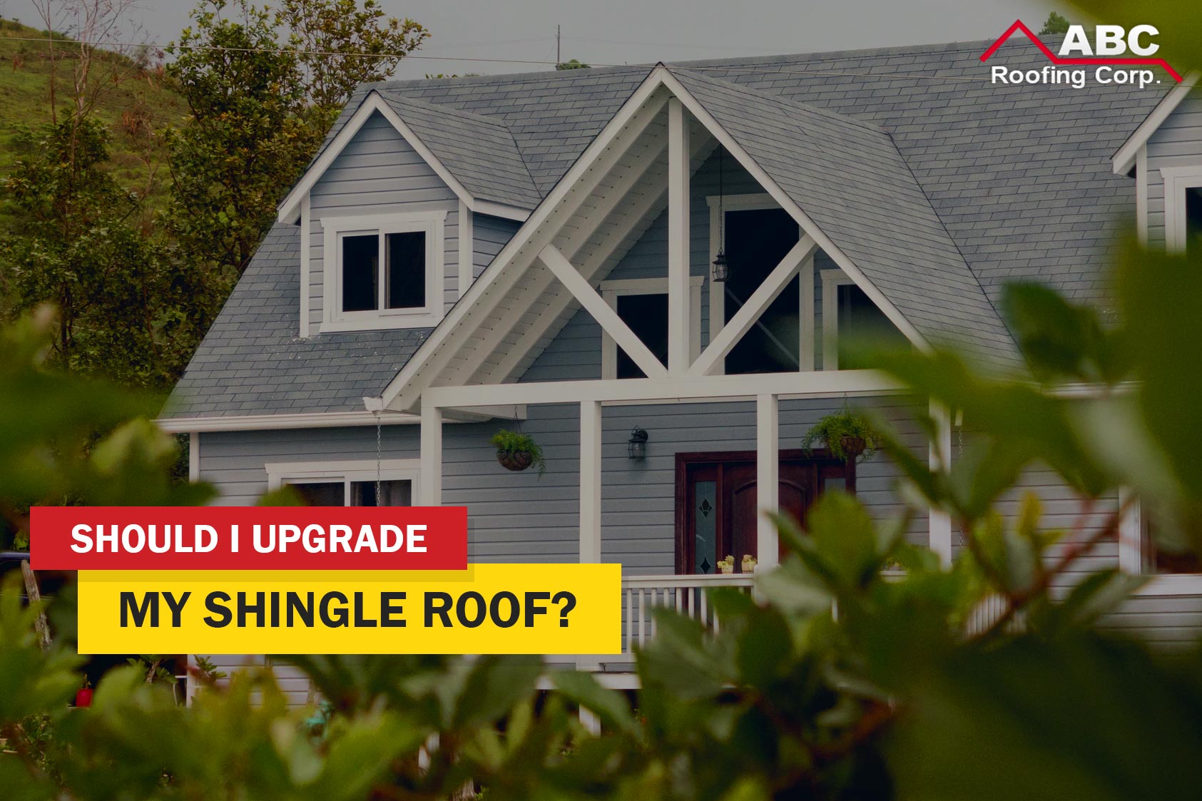 Shingle Roof