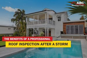 professional roof inspection