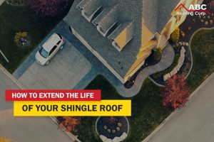 Shingle Roof