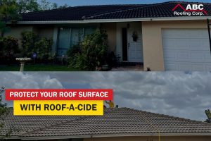 roof surface