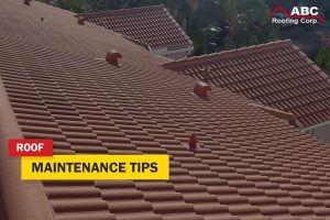 roof maintenance