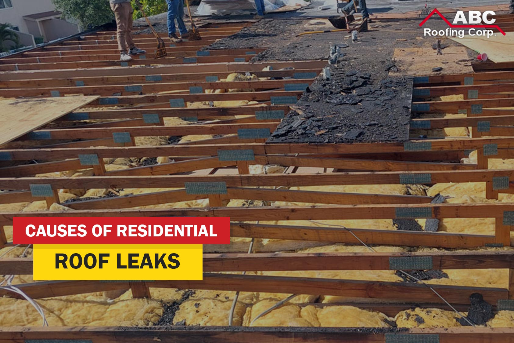 Residential Roof Leaks