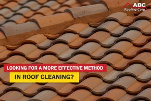 roof cleaning
