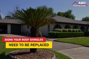 roof shingles