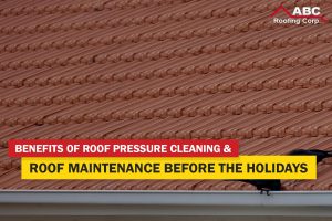 roof pressure cleaning