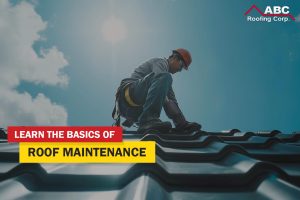 roof maintenance