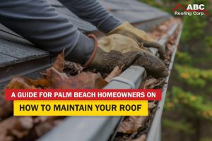 palm beach roofers