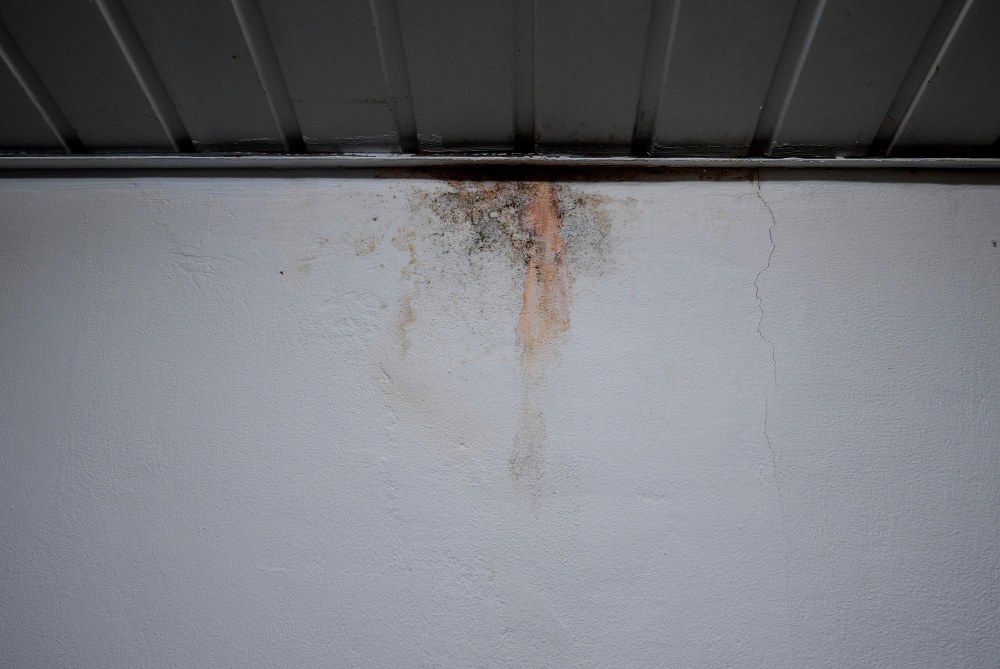 mold and mildew damage from roof leak