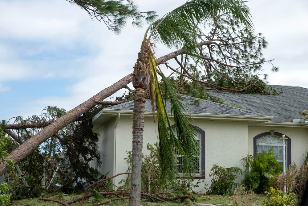 Post-Hurricane-Season Roof