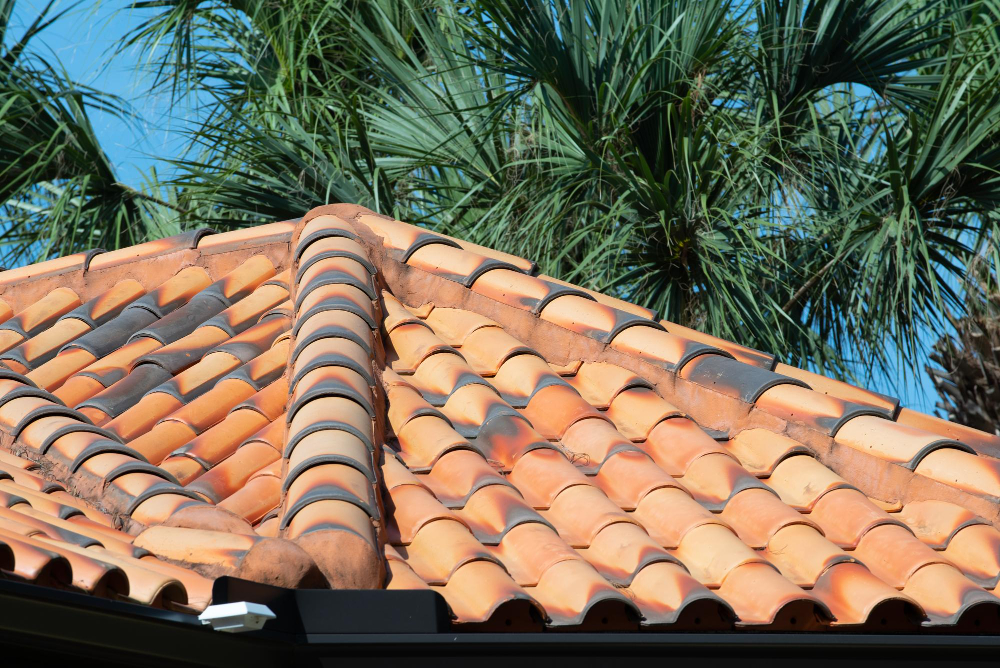 Professional Roofing Contractor